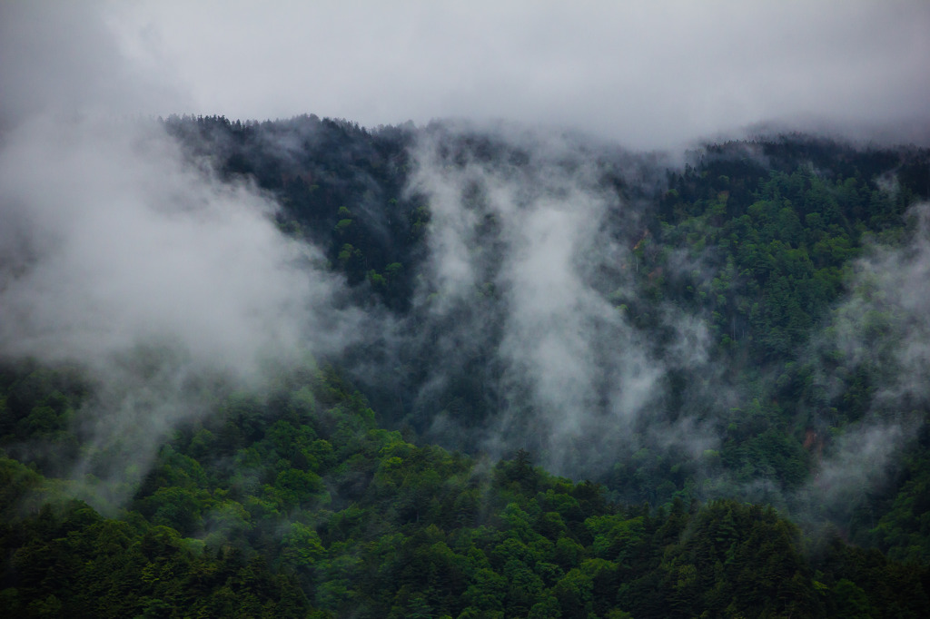 雄大な山と霧