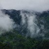 雄大な山と霧