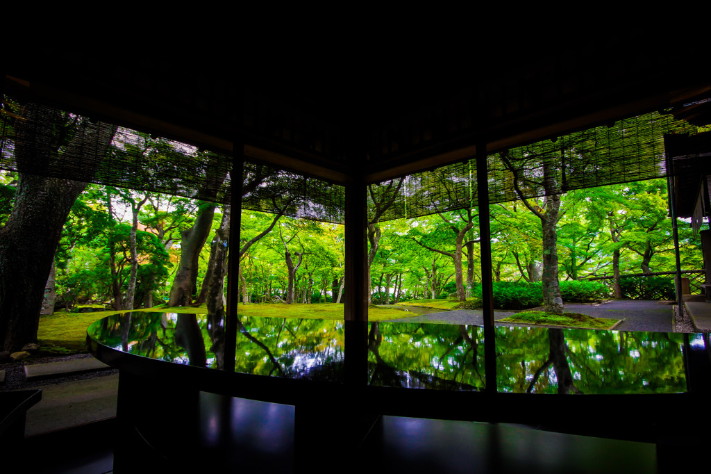 箱根美術館-茶室