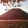 DSC02062