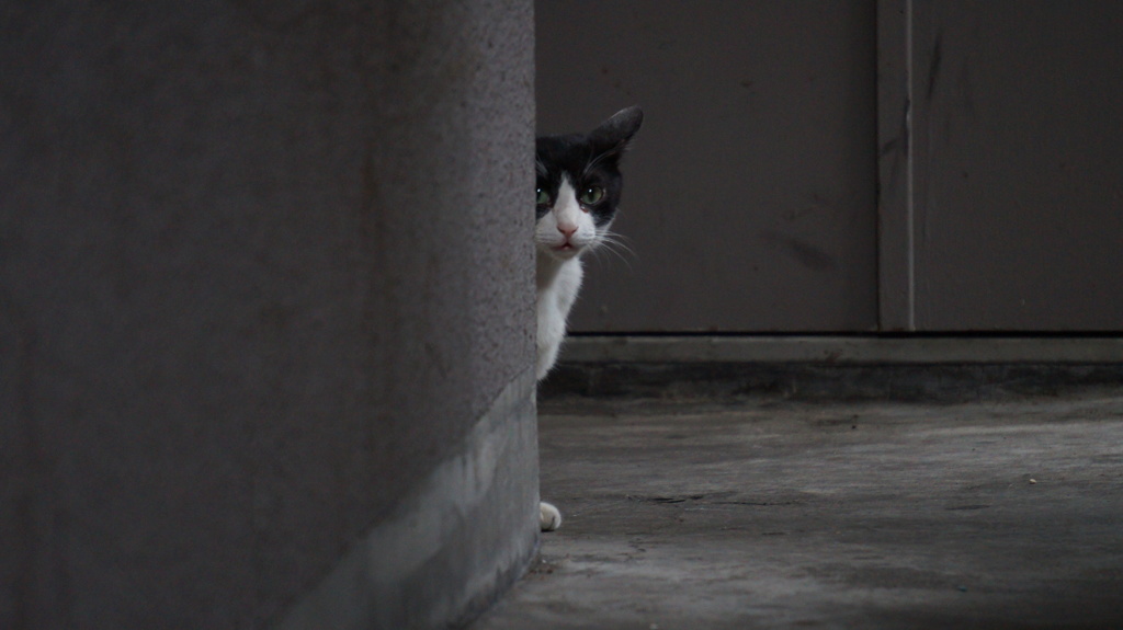 DSC00097