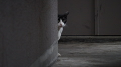 DSC00097
