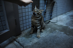 DSC_6331_副本