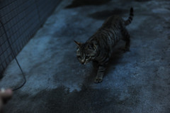 DSC_6247_副本