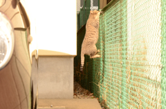 jump
