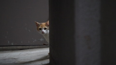 DSC00094