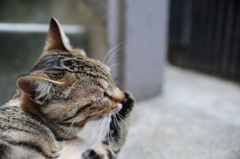 DSC_8117
