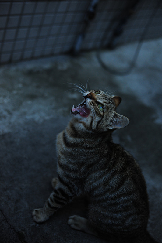 DSC_6222_副本