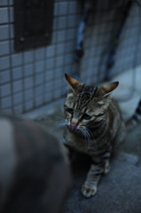 DSC_6280_副本