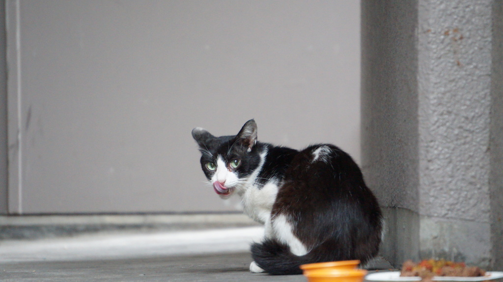 DSC00056