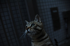 DSC_6403_副本