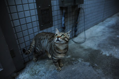 DSC_6391_副本
