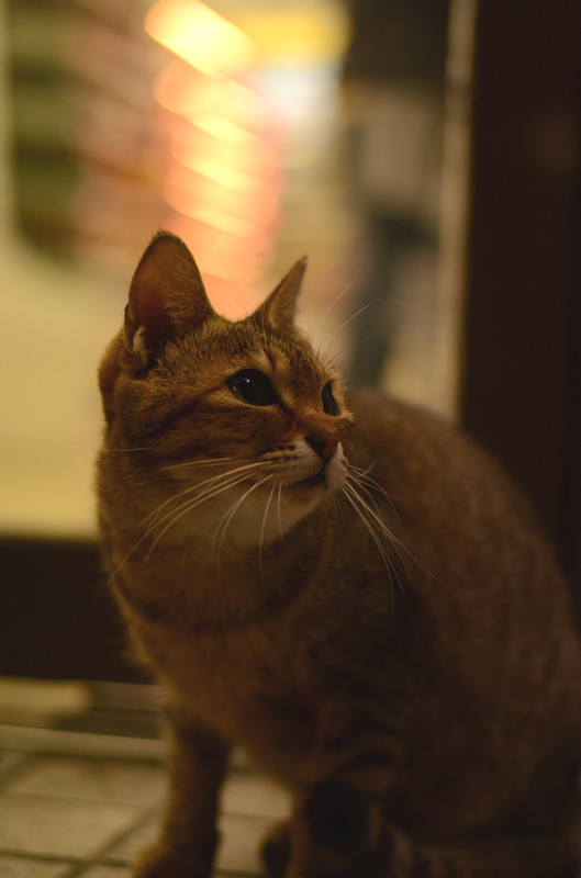 DSC_1329
