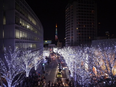 遠くに見える東京タワー