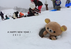 2013_2
