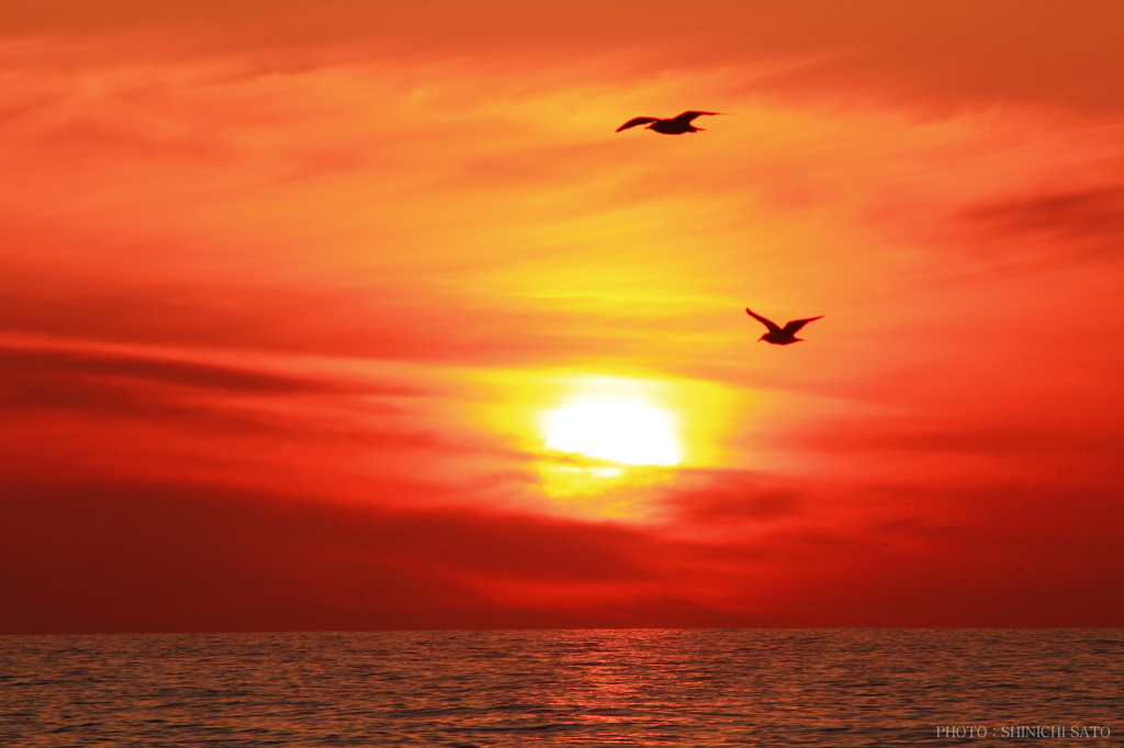 夕景