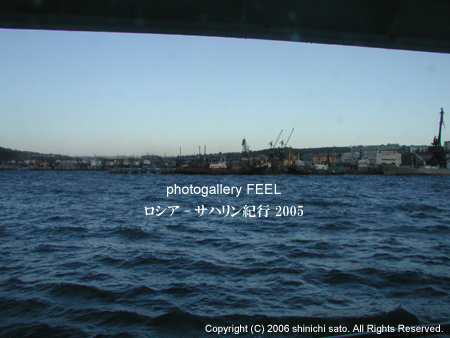 nature_05_08