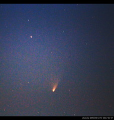 パンターズ彗星