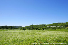 nature3_002