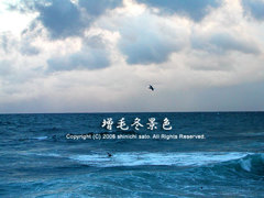 huyu01