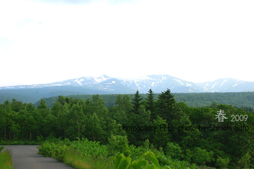 photo_shinryoku004a