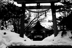 _MG_3134a