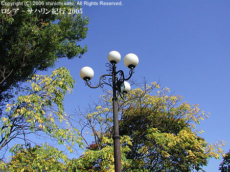 rosia_05_07