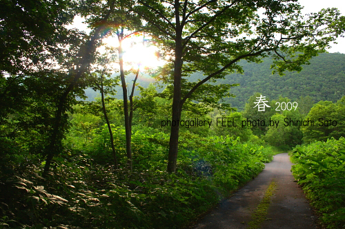 photo_shinryoku005a