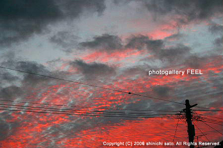 nature1_002