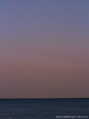 日本海とパンターズ彗星