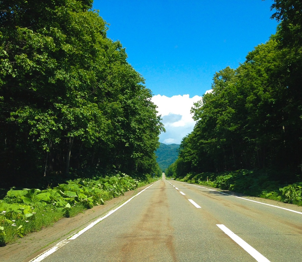 道