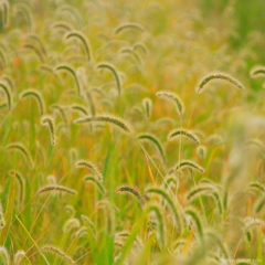 夏の暮れに。。