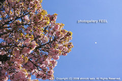 nature2_001