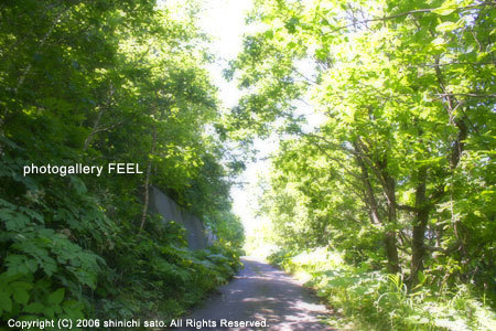 nature3_003