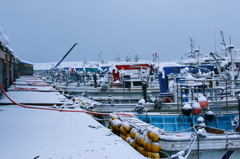 _MG_3100a