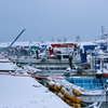 _MG_3100a