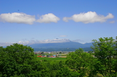 _MG_2068a
