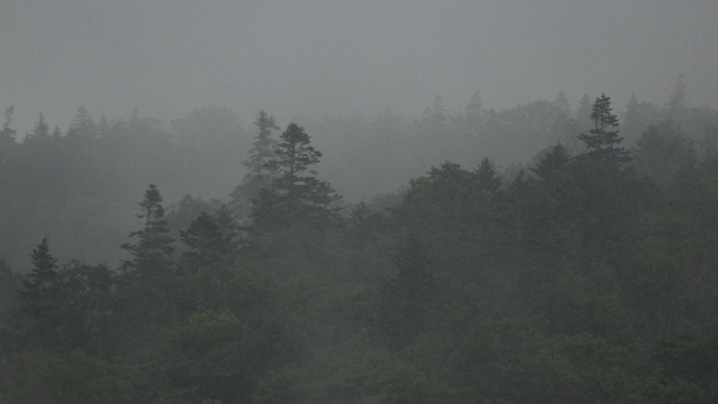 時雨