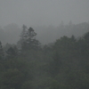 時雨