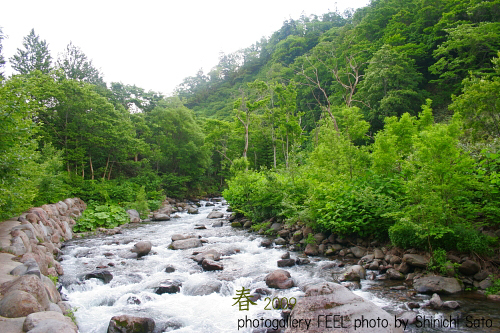 photo_shinryoku006a