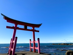 金比羅神社