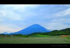 羊蹄山