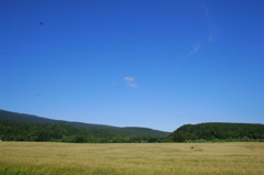 _MG_2122a