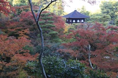 銀閣寺
