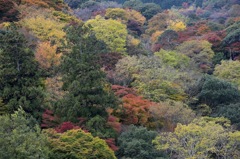 嵐山