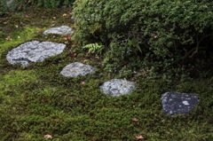 源光庵
