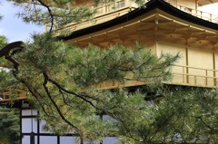 金閣寺
