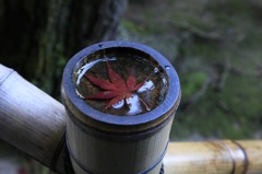銀閣寺