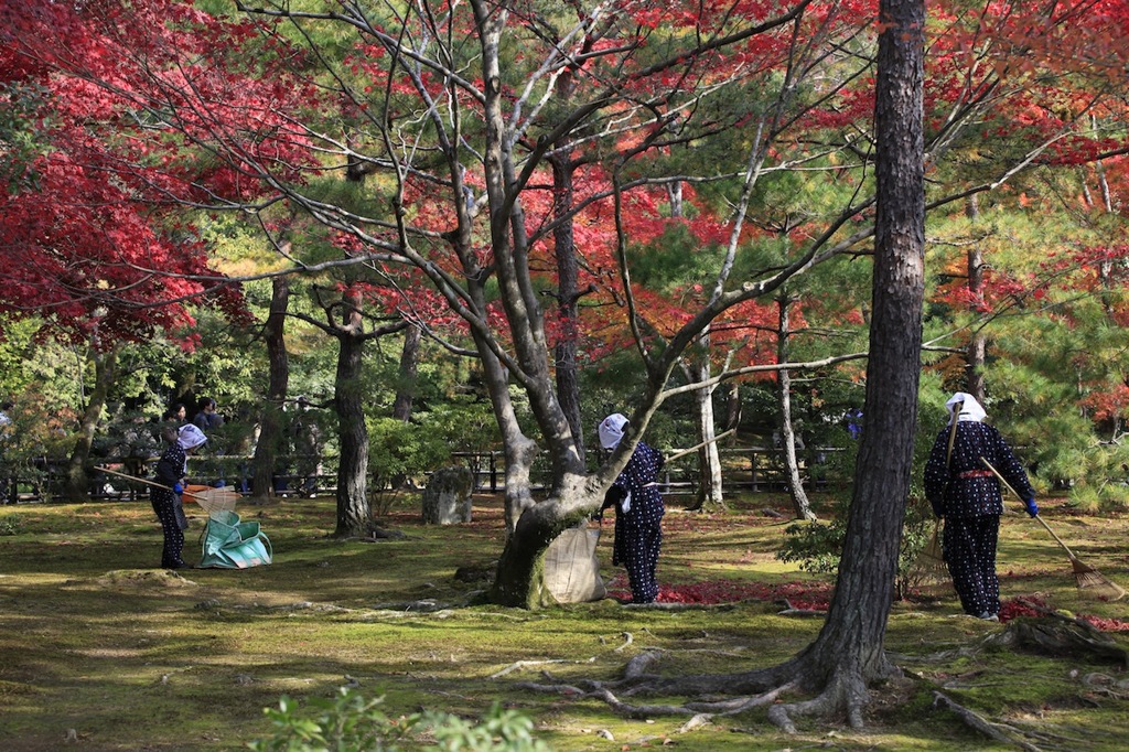 金閣寺