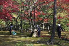 金閣寺